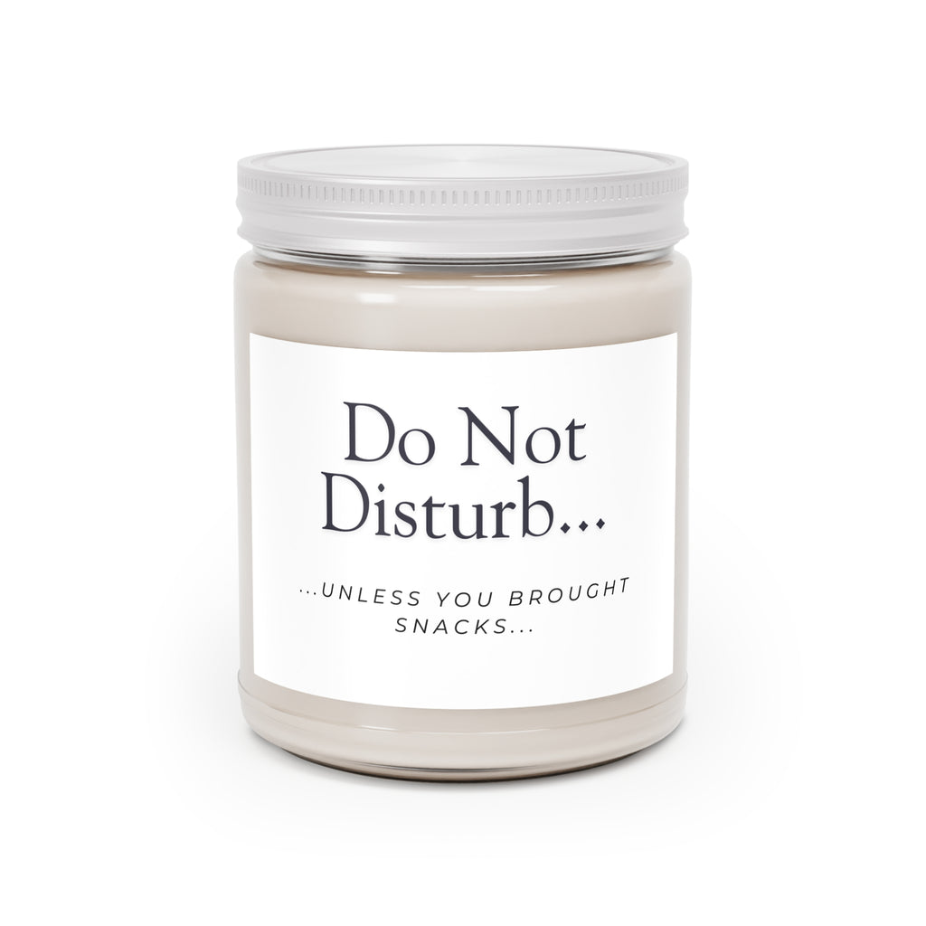 Do Not Disturb Soy Candle — 9oz Scented Jar (“Unless You Brought Snacks”)